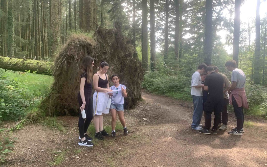 Un verano sin barreras